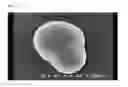 Fig. 06 - Electrostatic image developing toner
