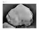 Fig. 07 - Electrostatic image developing toner
