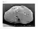 Fig. 08 - Electrostatic image developing toner