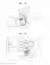 Fig. 31 - Developing cartridge and image forming apparatus employing the same
