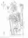Fig. 04 - Vertical arrangement of components in an image forming apparatus