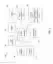 Fig. 02 - Undo operation for ink stroke conversion