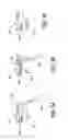 Fig. 04 - Undo operation for ink stroke conversion
