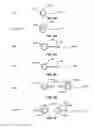 Fig. 08 - GALLERY VIDEO PLAYER MOVEMENT ICONOGRAPHY