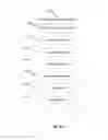 Fig. 11 - GALLERY VIDEO PLAYER MOVEMENT ICONOGRAPHY
