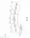 Fig. 20 - GALLERY VIDEO PLAYER MOVEMENT ICONOGRAPHY