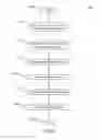 Fig. 28 - GALLERY VIDEO PLAYER MOVEMENT ICONOGRAPHY
