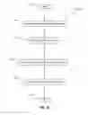 Fig. 55 - GALLERY VIDEO PLAYER MOVEMENT ICONOGRAPHY