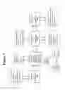 Fig. 10 - Hierarchical memory system compiler