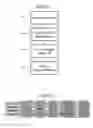 Fig. 06 - Dynamic programming adjustments based on memory wear, health, and endurance
