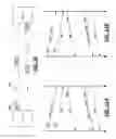 Fig. 10 - Low power entry in a shared memory link