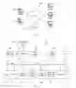 Fig. 02 - De-duplication as part of other routinely performed processes