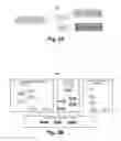 Fig. 06 - Automated model derivation and alignment