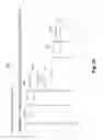 Fig. 18 - Automated model derivation and alignment