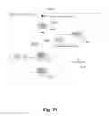 Fig. 19 - Automated model derivation and alignment