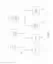 Fig. 06 - OPTIMIZED EXECUTION OF DYNAMIC LANGUAGES