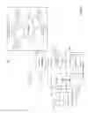 Fig. 06 - Parallel computing without requiring antecedent code deployment