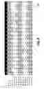 Fig. 08 - Error handling in transactional buffered memory