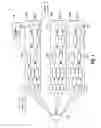 Fig. 02 - Processing element data sharing