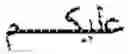Fig. 21 - Orthographic error correction using phonetic transcription