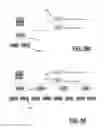 Fig. 12 - System and method for developing and implementing a migration plan for migrating a file system