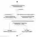 Fig. 01 - A SYSTEM AND A METHOD FOR CALCULATING PARAMETERS FOR THE DETERMINATION OF THE REPUTATIONAL RATING OF NATURAL AND LEGAL PERSONS