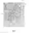 Fig. 06 - METHODS AND SYSTEMS OF AGGREGATING INFORMATION OF SOCIAL NETWORKS BASED ON GEOGRAPHICAL LOCATIONS VIA A NETWORK
