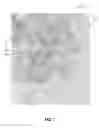 Fig. 08 - METHODS AND SYSTEMS OF AGGREGATING INFORMATION OF SOCIAL NETWORKS BASED ON GEOGRAPHICAL LOCATIONS VIA A NETWORK