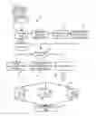 Fig. 01 - METHODOLOGY AND APPARATUS FOR CONSISTENCY CHECK BY COMPARISON OF ONTOLOGY MODELS