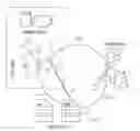 Fig. 01 - Information propagation via weighted semantic and social graphs