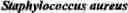 Fig. 14 - SECONDARY STRUCTURE DEFINING DATABASE AND METHODS FOR DETERMINING IDENTITY AND GEOGRAPHIC ORIGIN OF AN UNKNOWN BIOAGENT THEREBY