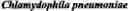 Fig. 16 - SECONDARY STRUCTURE DEFINING DATABASE AND METHODS FOR DETERMINING IDENTITY AND GEOGRAPHIC ORIGIN OF AN UNKNOWN BIOAGENT THEREBY