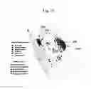 Fig. 28 - SECONDARY STRUCTURE DEFINING DATABASE AND METHODS FOR DETERMINING IDENTITY AND GEOGRAPHIC ORIGIN OF AN UNKNOWN BIOAGENT THEREBY