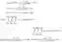 Fig. 44 - System and method of conducting in silico clinical trials