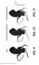 Fig. 09 - Systems and methods for determining blood flow characteristics using flow ratio