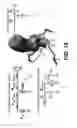 Fig. 11 - Systems and methods for determining blood flow characteristics using flow ratio