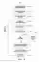 Fig. 11 - Analysis of scripts