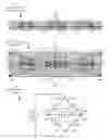 Fig. 01 - Electronic data security apparatus