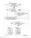 Fig. 10 - System and method for detecting, tracking and counting human objects of interest using a counting system and a data capture device