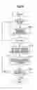 Fig. 07 - METHOD OF GENERATING DESCRIPTOR FOR INTEREST POINT IN IMAGE AND APPARATUS IMPLEMENTING THE SAME