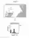 Fig. 06 - PREDICTION DEVICE, PREDICTION METHOD, AND NON-TRANSITORY COMPUTER READABLE STORAGE MEDIUM