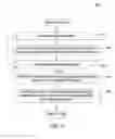 Fig. 04 - Avoiding supporting evidence processing when evidence scoring does not affect final ranking of a candidate answer