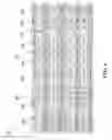Fig. 05 - Parcel shipping screening and validation