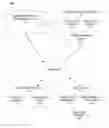 Fig. 01 - System, method, and apparatus for reprogramming a transaction card