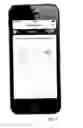 Fig. 07 - Instant Multimedia-Based Customer Feedback System