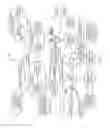 Fig. 04 - Generating customized content