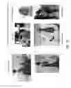 Fig. 13 - Automated extraction of product data from production data of visual media content