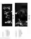 Fig. 14 - Automated extraction of product data from production data of visual media content