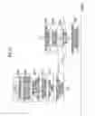 Fig. 25 - Radiographic image processing device, system, program, and method to reduce a load of a processing operation of a user