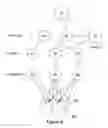 Fig. 08 - System for neurobehavioural animation